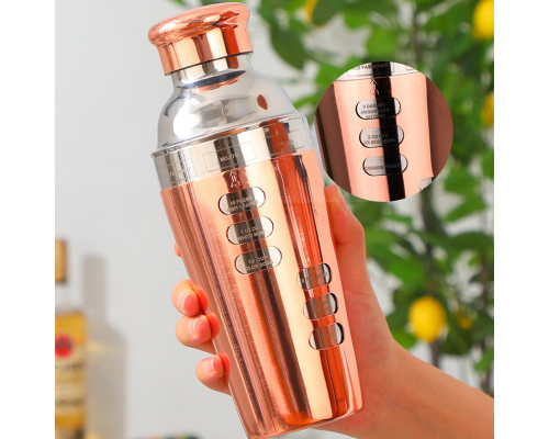 Шейкер для коктейлей FS7263 из нержавеющей стали 600 мл с рецептами Rose Gold