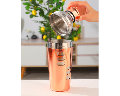 Шейкер для коктейлей FS7263 из нержавеющей стали 600 мл с рецептами Rose Gold