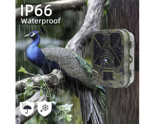 Фотоловушка Suntek HC 940A — съемка в 4K (50Mp), фото и видео.