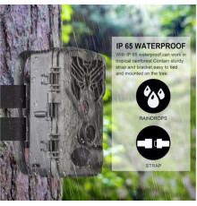 Фотоловушка Suntek HC-810A с датчиком движения и ночной съемкой, обзор 120°, дистанция 20 м, защита IP65. Камера для охраны территории.