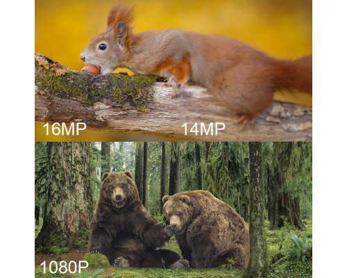 Фотоловушка Suntek HC-808A с углом обзора 120°, датчиком движения, ночной съемкой и защитой IP65 — камера для охраны на расстоянии до 20 метров.