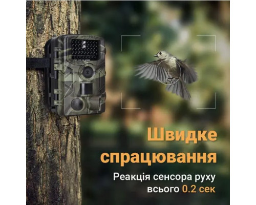 Фотоловушка Suntek HC-808A с углом обзора 120°, датчиком движения, ночной съемкой и защитой IP65 — камера для охраны на расстоянии до 20 метров.