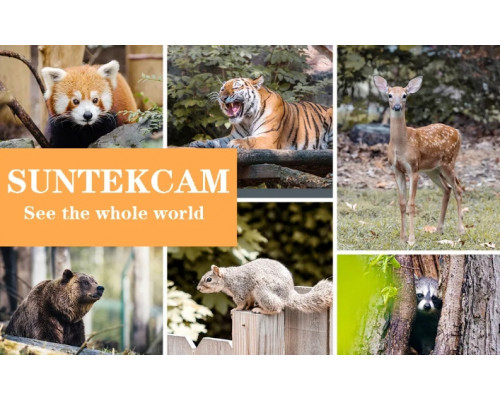 Фотоловушка HC940 LTE PRO с передачей данных, аккумулятором 10000mAh, 4G, видео 4K, фото 30МП