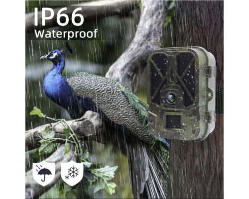 Фотоловушка Suntek HC-940M-LI: ночная съёмка, GSM-модуль, датчик движения, защита IP65, дальность 25 м