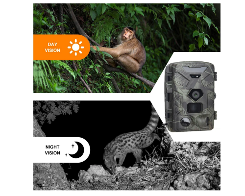 Фотоловушка Suntek HC-881A — Продвинутая камера для наблюдения с улучшенной функциональностью и качественной съемкой.