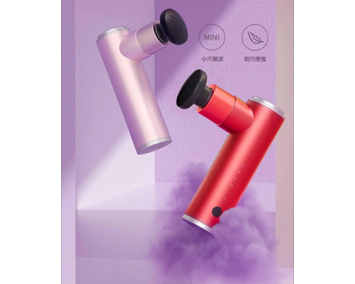 Массажер ручной Booster Mini SE