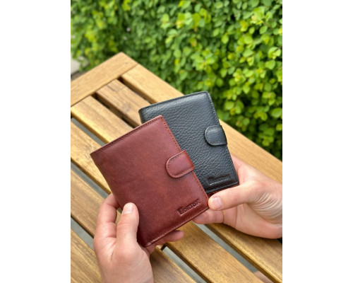 Мужской кожаный кошелек люкс, мужское портмоне натуральная кожа HORTON 301B