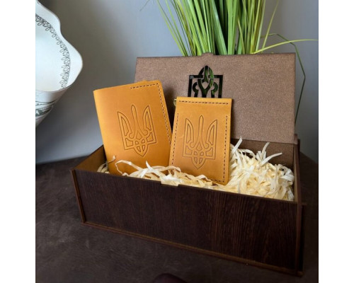 Подарунковий чоловічий набір із затискача для грошей та обкладинки на паспорт