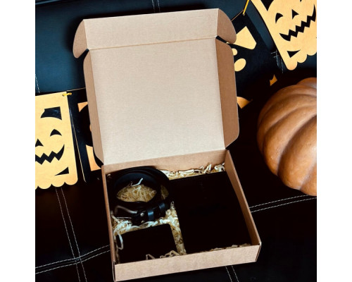 Подарунковий чоловічий набір з ременя Florida, затискача для грошей та обкладинки на паспорт