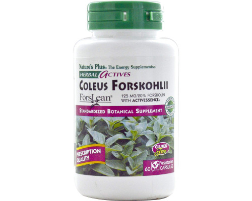 Форсколін, Coleus Forskohlii, Nature's Plus, Herbal Actives, 125 мг, 60 капсул