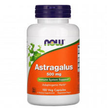 Астрагал, Astragalus, Now Foods, 500 мг, 100 вегетаріанських капсул