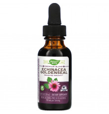 Ехінацея та гідрасстис, Echinacea Goldenseal, Nature's Way, без спирту, 30 мл