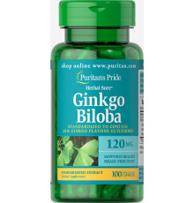 Гінкго білоба, Ginkgo Biloba, Puritan's Pride, стандартизований екстракт, 120 мг, 100 капсул