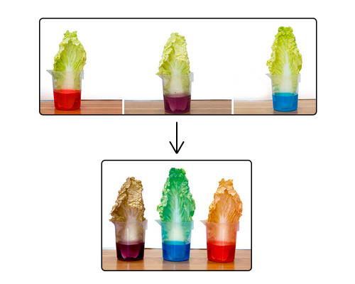 Научный игровой набор Science Lab TXX-015 лаборатория химических экспериментов для детей