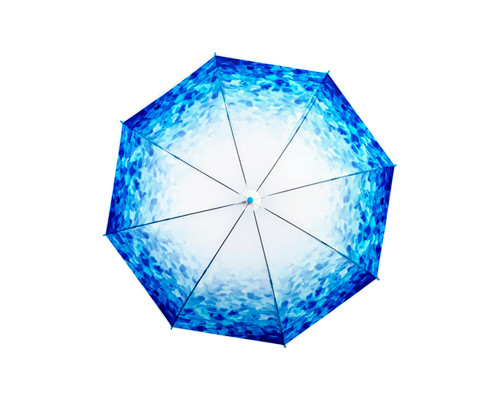Женский зонт RST Japanese style Blue