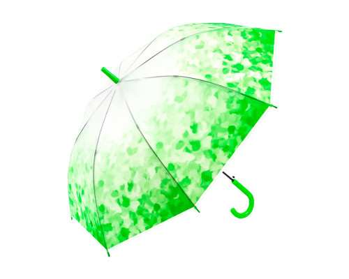 Женский зонт RST Japanese style Green