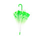 Женский зонт RST Japanese style Green