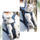 Рюкзак- кенгуру для животных A01002-CO Jeans XL
