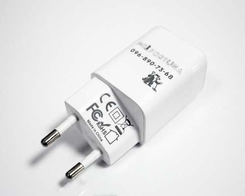 Зарядний пристрій для металошукачів MD Fortuna 30W (USB + Type-C)
