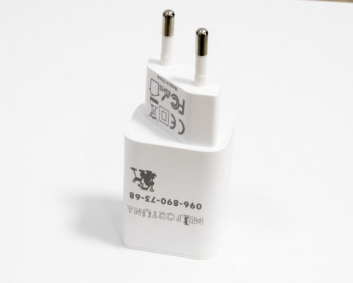 Зарядний пристрій для металошукачів MD Fortuna 30W (USB + Type-C)