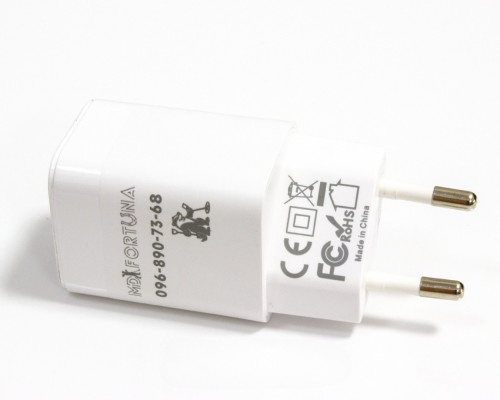 Зарядний пристрій для металошукачів MD Fortuna 30W (USB + Type-C)