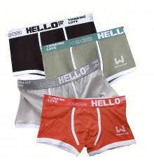 Набор мужских трусов боксеров PB-3199 Light gray/Green/Coral/Black из 4 шт  L