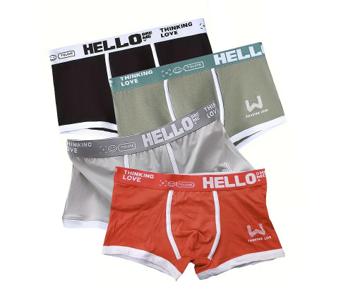 Набор мужских трусов боксеров PB-3199 Light gray/Green/Coral/Black из 4 шт  XL