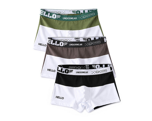 Набор мужских трусов боксеров PB3259 Green/Gray/Black из 3 шт  L