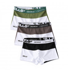 Набор мужских трусов боксеров PB3259 Green/Gray/Black из 3 шт  M