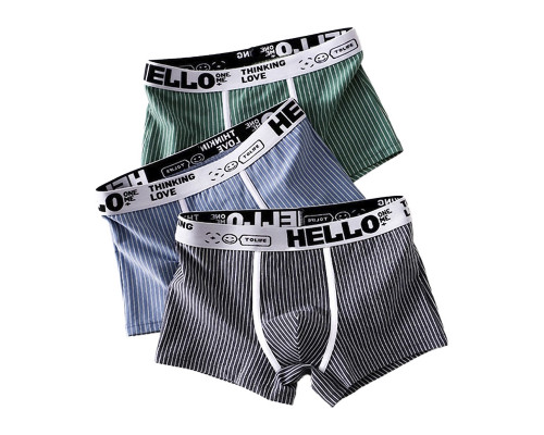 Набор мужских трусов боксеров PC3221 Gray/Green/Blue из 3 шт  XL
