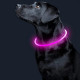 Светодиодный LED ошейник L-18 USB светящийся водоотталкивающий для собак и котов  Pink S