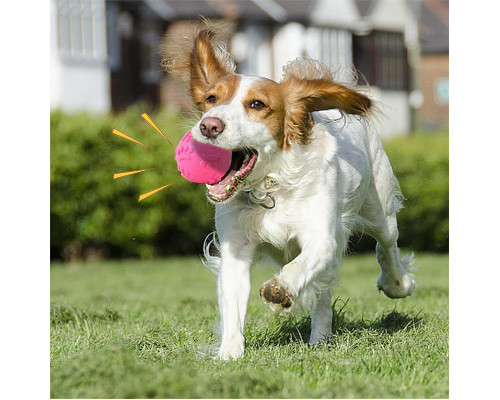 Игрушка Мяч DT1149 жевательный резиновый для Собак D:6,0 см Pink