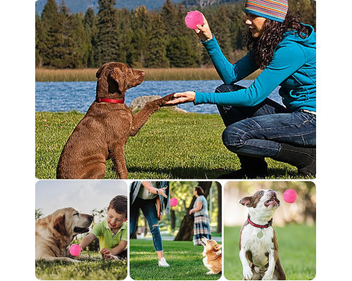 Игрушка Мяч DT1149 жевательный резиновый для Собак D:6,0 см Pink