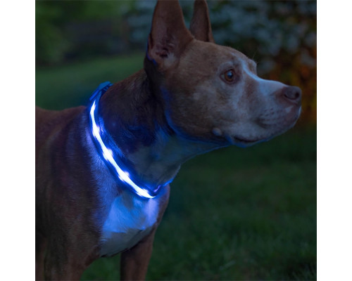 Светодиодный LED ошейник USB светящийся для собак и котов Blue L