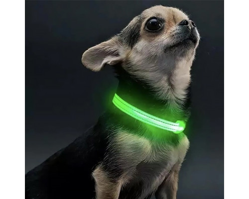 Светодиодный LED ошейник USB светящийся для собак и котов Green S