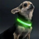 Светодиодный LED ошейник USB светящийся для собак и котов Green S