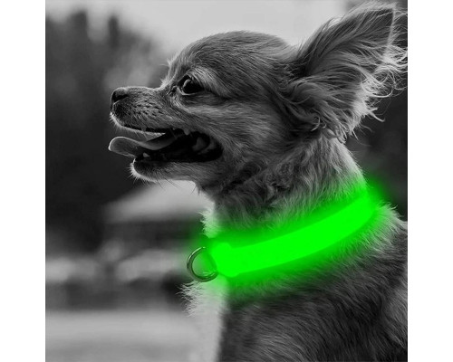 Светодиодный LED ошейник USB светящийся для собак и котов Green S