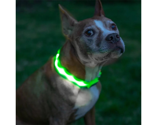 Светодиодный LED ошейник USB светящийся для собак и котов Green S