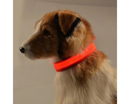 Светодиодный LED ошейник USB светящийся для собак и котов Red XS