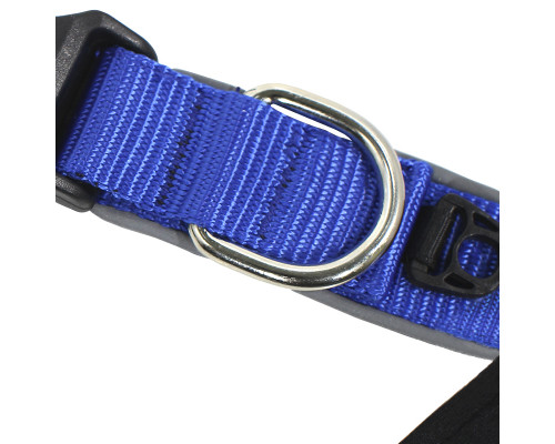 Ошейник двухслойный для собак Taotaopets 181-2019 L Blue