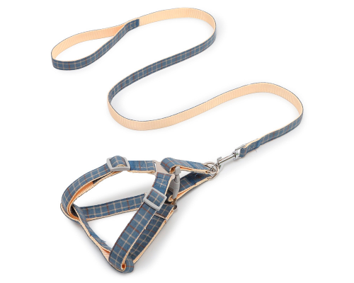 Шлея для собак с поводком Pipitao 165510 Cage Blue 1.5*120 cm