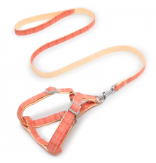 Шлея для собак с поводком Pipitao 165510 Cage Peach 2*120 cm