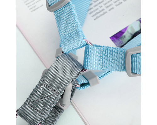 Шлея для собак или кошек с поводком Taotaopets 171120 Blue L (2.0 cm)