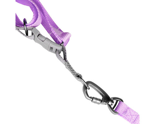 Шлея для собак или кошек с поводком Taotaopets 171120 Purple M (1.5 cm)