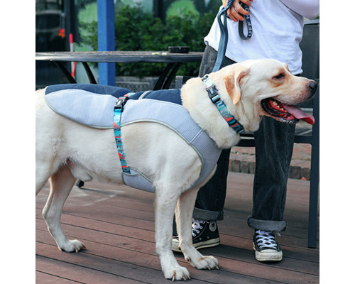 Шлея для собак TUFF HOUND TH00205 Blue M