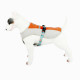 Шлея для собак TUFF HOUND TH00206 Orange L