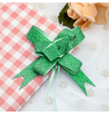 Бант затяжка 18 мм Green