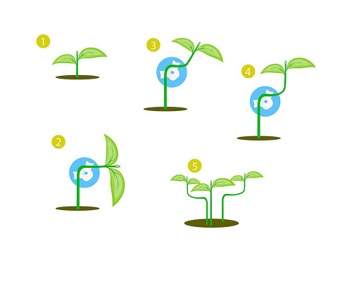 Зажим QS202277529 для веток растений на 360° пряжка для роста растений