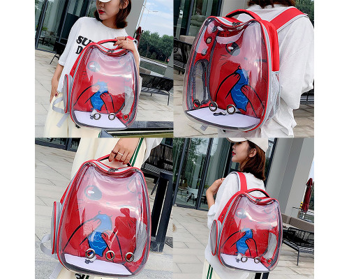 Рюкзак-переноска для кошек Taotaopets 2024 Panoramic Cats 36*26*48 cm Red