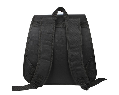 Рюкзак-переноска для животных кошек и собак Taotaopets 247723 Black